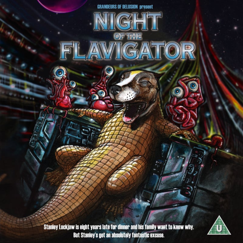 Image of Night of the flavigator