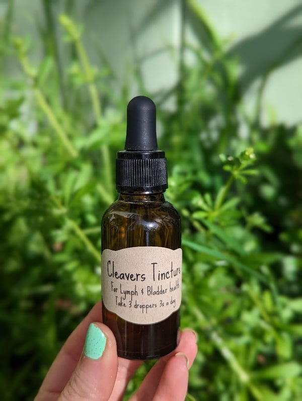 Image of Cleavers Tincture