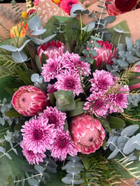 Image 5 of Protea Pink Ice - back in stock