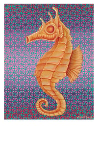 Sea Horse