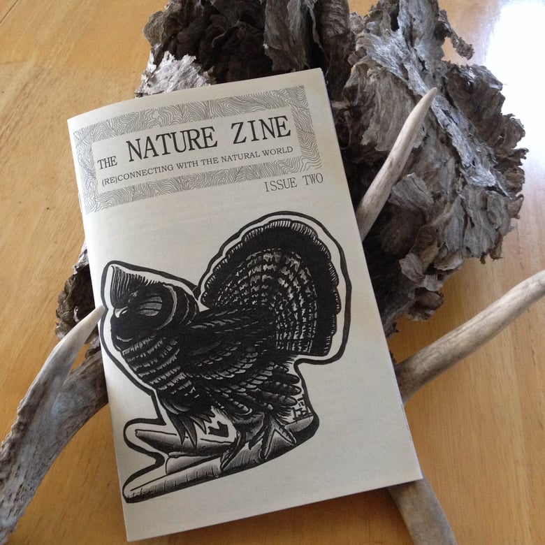 Image of The Nature Zine Issue TWO