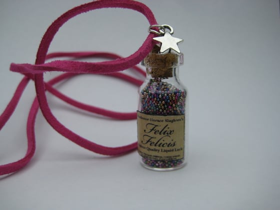 Image of Felix Felicis Necklace