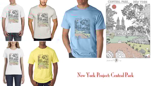 Image of New York Project - central park