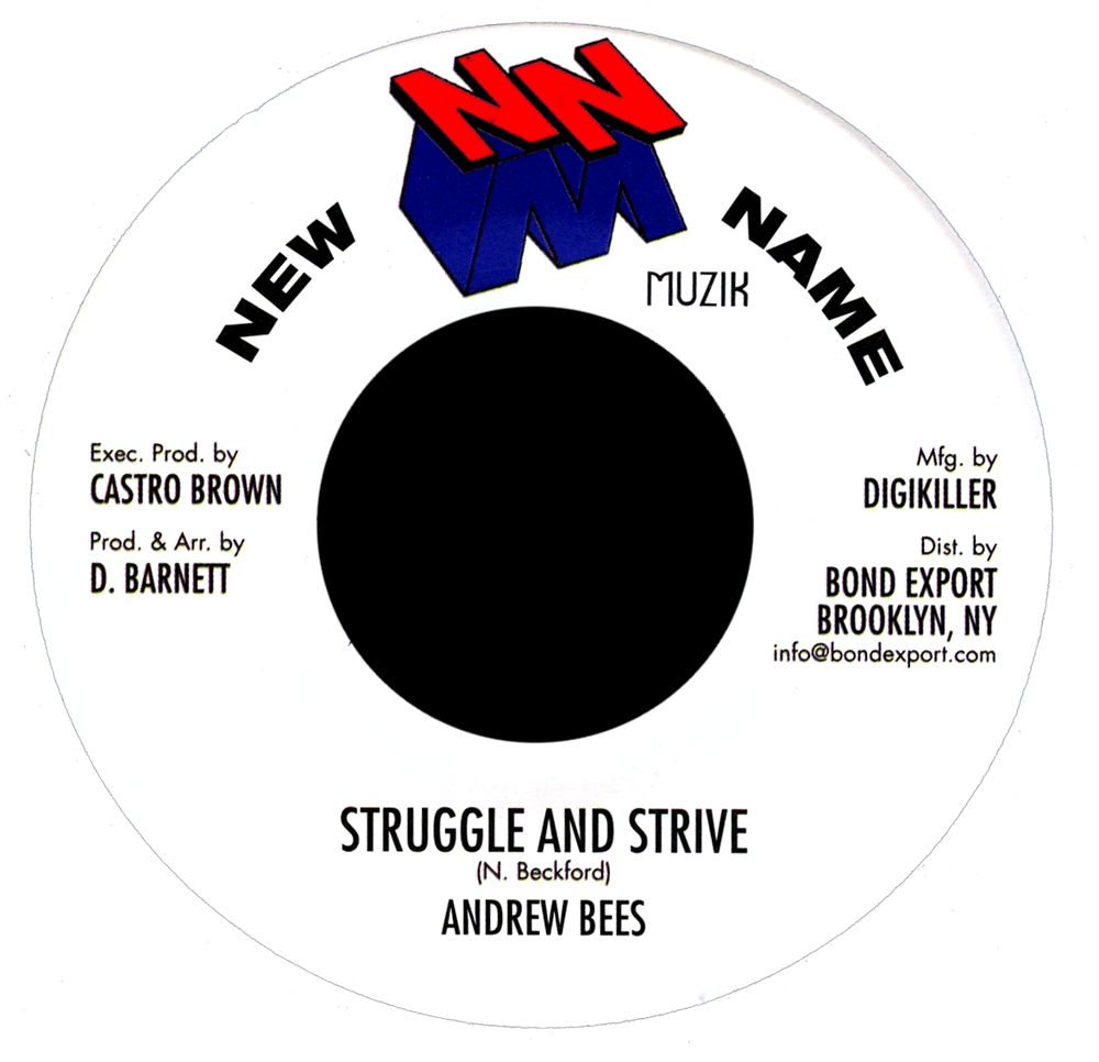 Image of Andrew Bees - Struggle and Strive 7" (New Name Muzik)