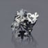 Oxidized Silver Floral Branch Ring Image 3