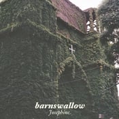 Image of Barnswallow - Josephine