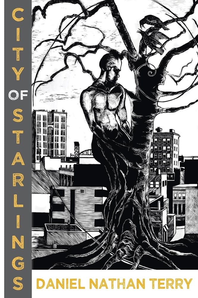 Image of ALA Over the Rainbow Title! City of Starlings by Daniel Nathan Terry