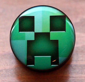 Image of Minecraft Video Game Logo Flesh Plug