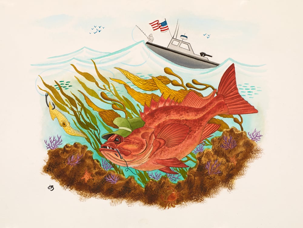 LTD Heroes on the Water Rockfish print Kelp Clothing