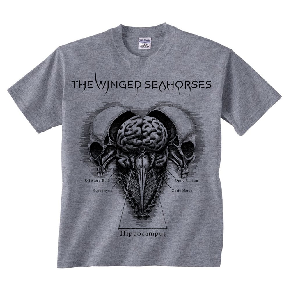 Image of T-Shirt Hippocampus