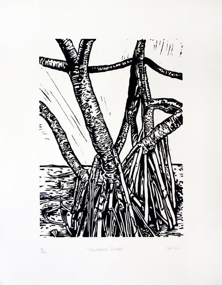 Image of "Pandanus Shade" 2014