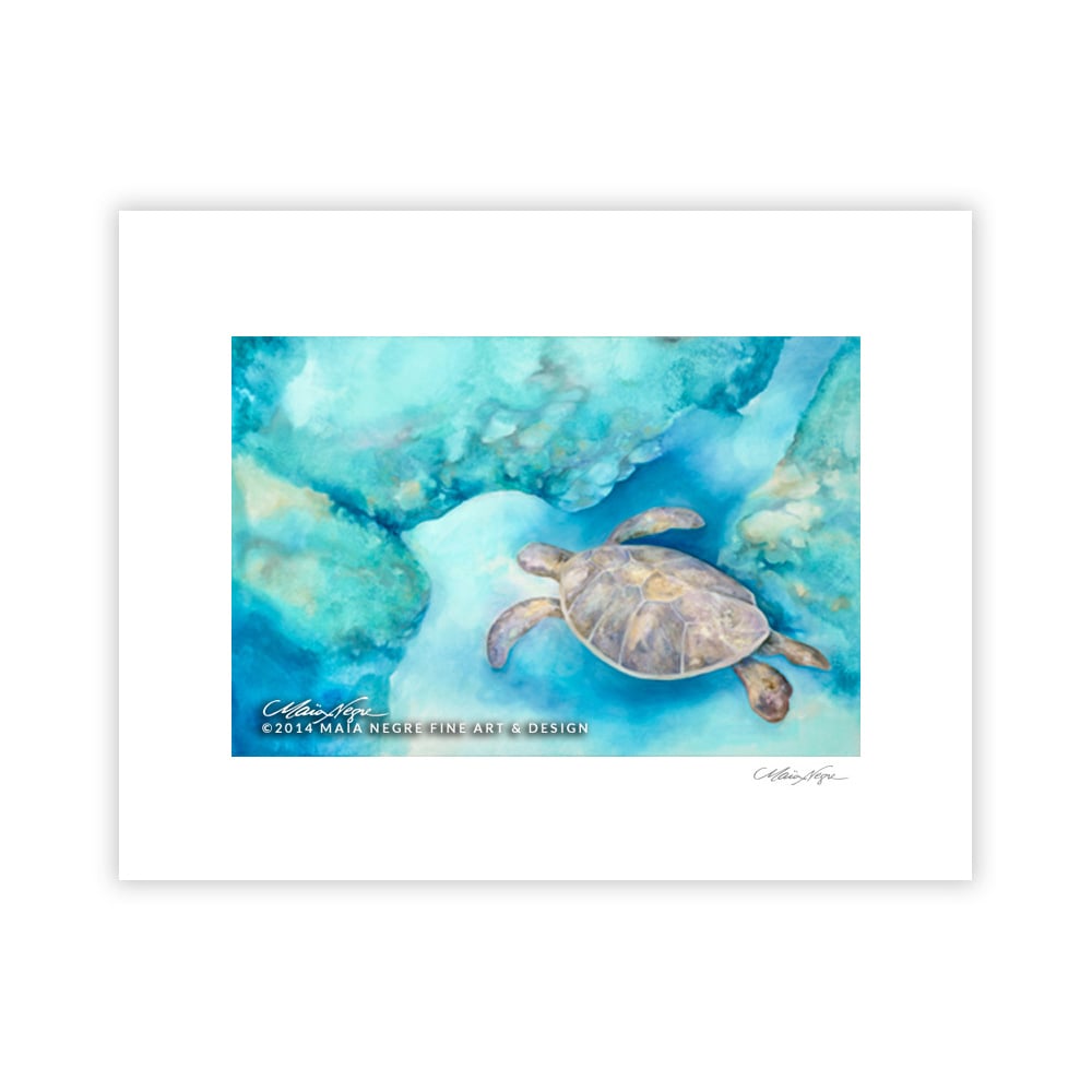Image of Sea Turtle, Archival Paper Print