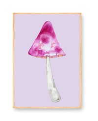 Image 1 of ONE SHROOM PRINT