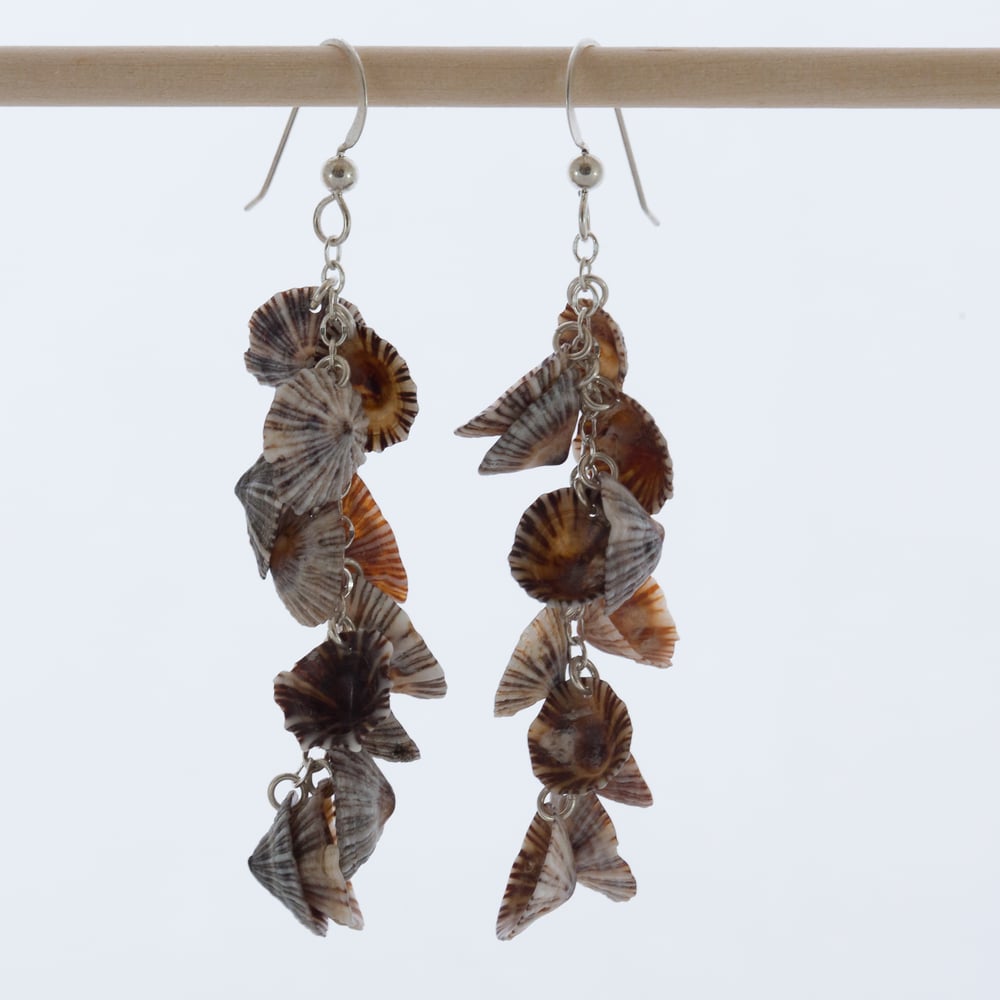 Image of Opihi Clump Earrings