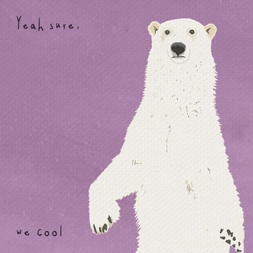 Image of Dolittle - Polar Bear