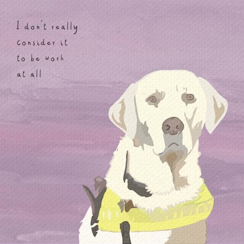 Image of Dolittle - Labrador