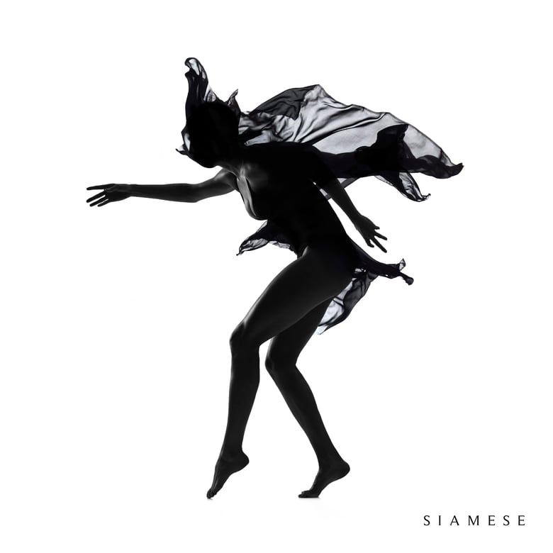 Image of Siamese - SIAMESE