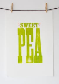 Image 1 of Sweet Pea