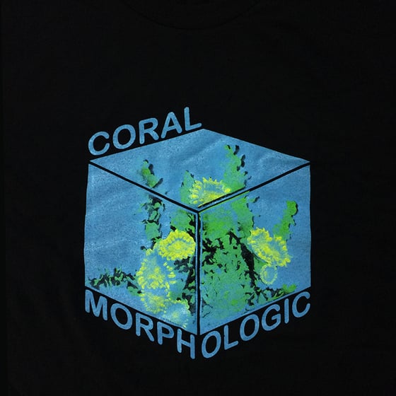 Image of Coral Morphologic OG Fluorescent Tee