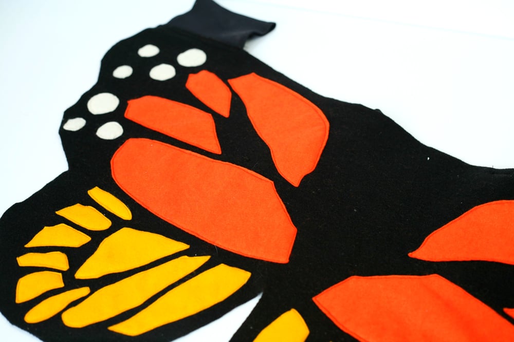 Image of Monarch Wings