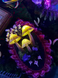 Image 5 of Mushroom wooden frame LED