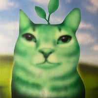 Image 1 of fotosynthesis