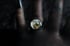 Dead Good naturally deceased wasp ring Image 7