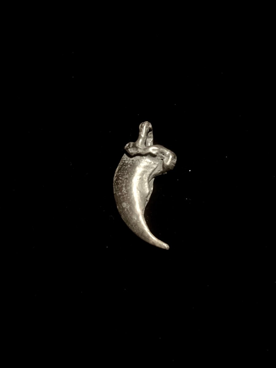 Image of Wolf’s claw pendant