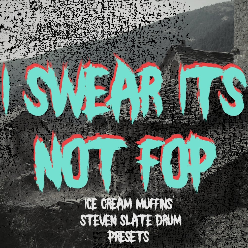 Image of I Swear It's Not FOP Steven Slate Drum Presets