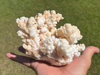 Image 1 of Calcite Crystal Cluster Reef Formation Specimen #1235