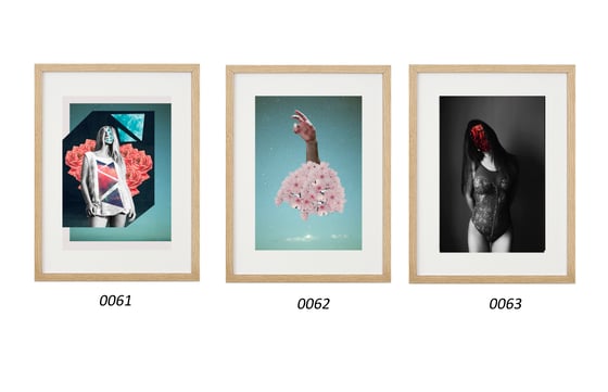 Image of Collages