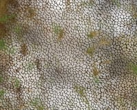 Image 2 of Town Square -- 4'x6' plus -- #170