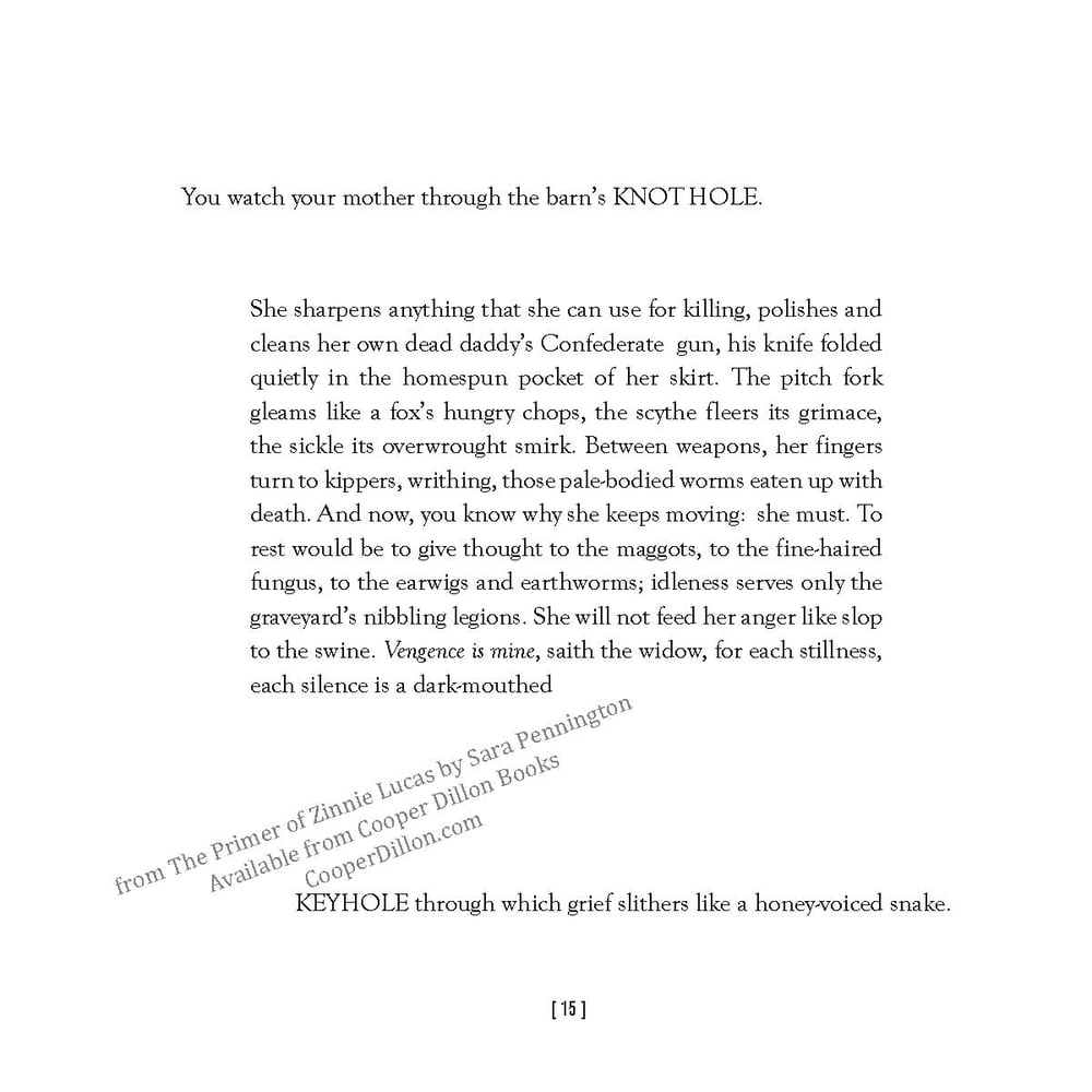 Image of The Primer of Zinnie Lucas by Sara Pennington