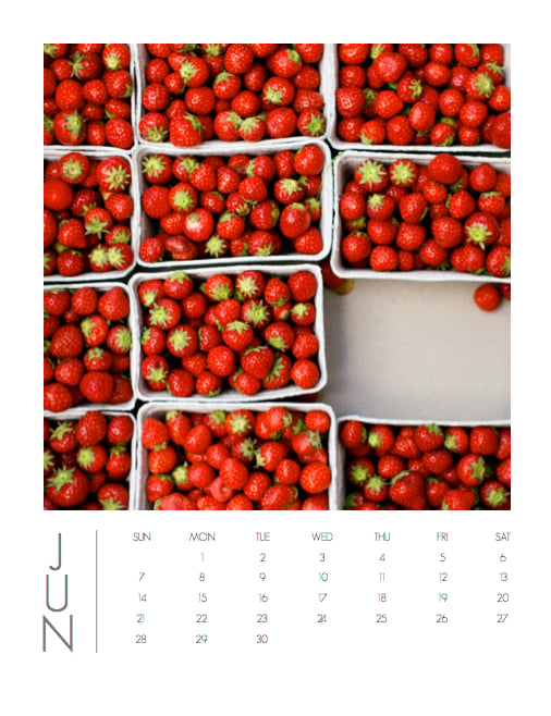 Image of 2015 Copenhagen Calendar 