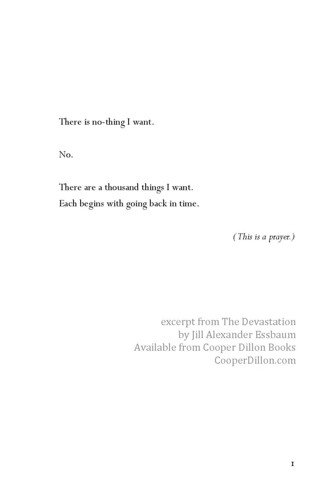 Image of The Devastation by Jill Alexander Essbaum