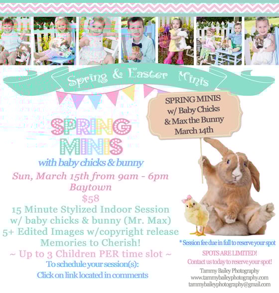 Image of Spring & Easter Mini Session with baby chicks & bunny