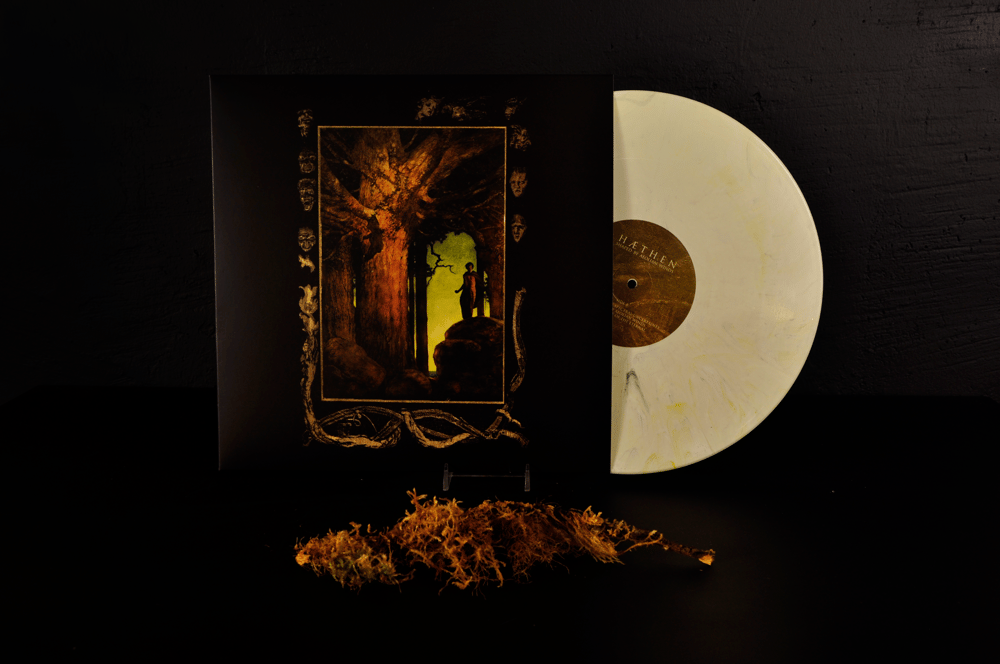 Image of Shaped By Aeolian Winds LP
