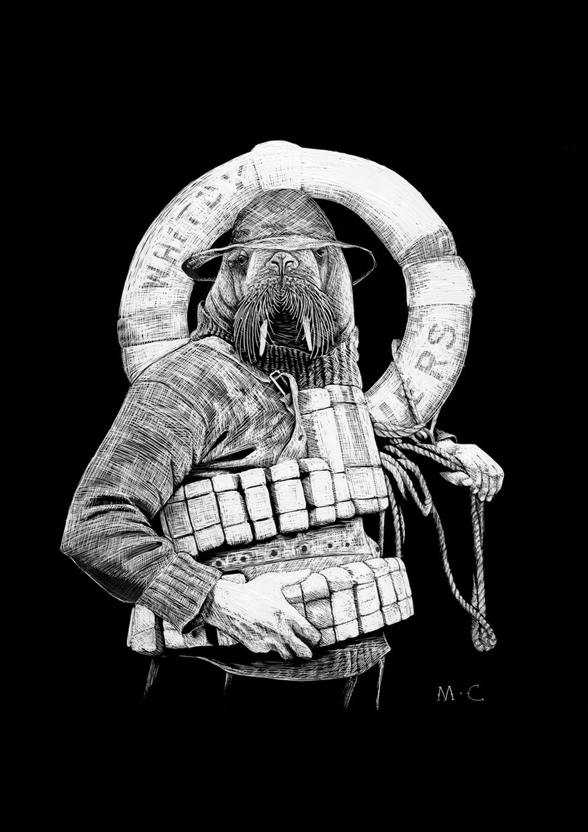 CAPTAIN WALRUS / Marine Caleri