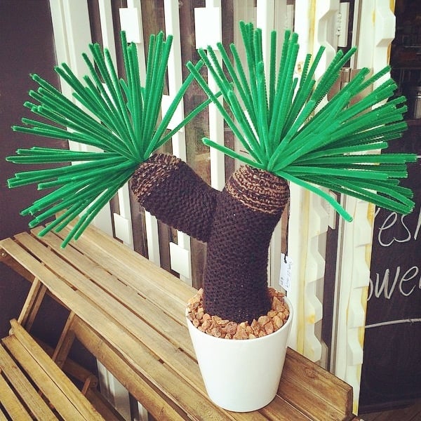 Image of Large Grass Tree