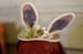 Image of Bunny Hat by Rhodora Jacob: Date w/ Blythe Auction