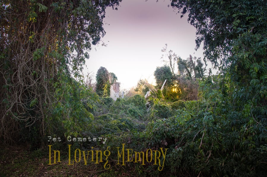 Image of eBook 'Pet Cemetery...In Loving Memory' (2015)