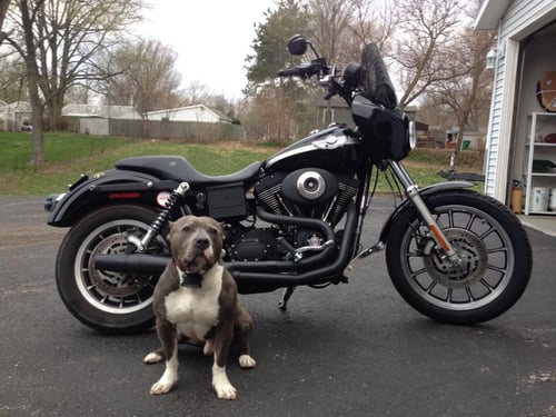 Image of JD Customs Original FXDXT Fairing Kit - Unpainted