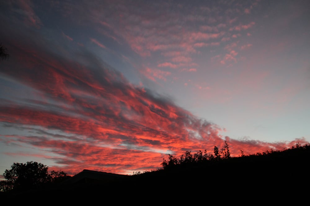 Image of Scarlet Skies