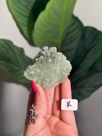 Image 11 of CHOOSE YOUR OWN BOWTIE PREHNITE -INDIA-