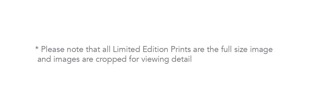 Image of 'BLISS' Limited Edition Print
