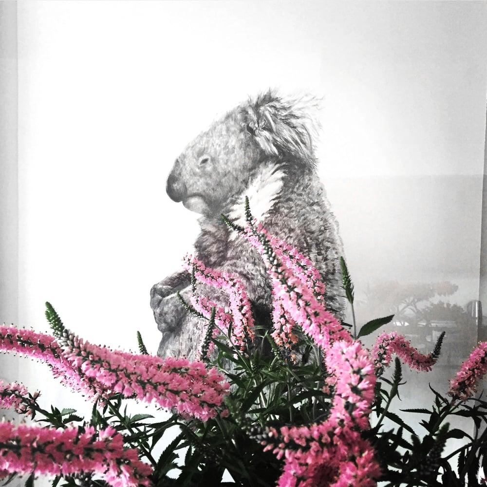 Image of 'MEDITATE' limited edition print