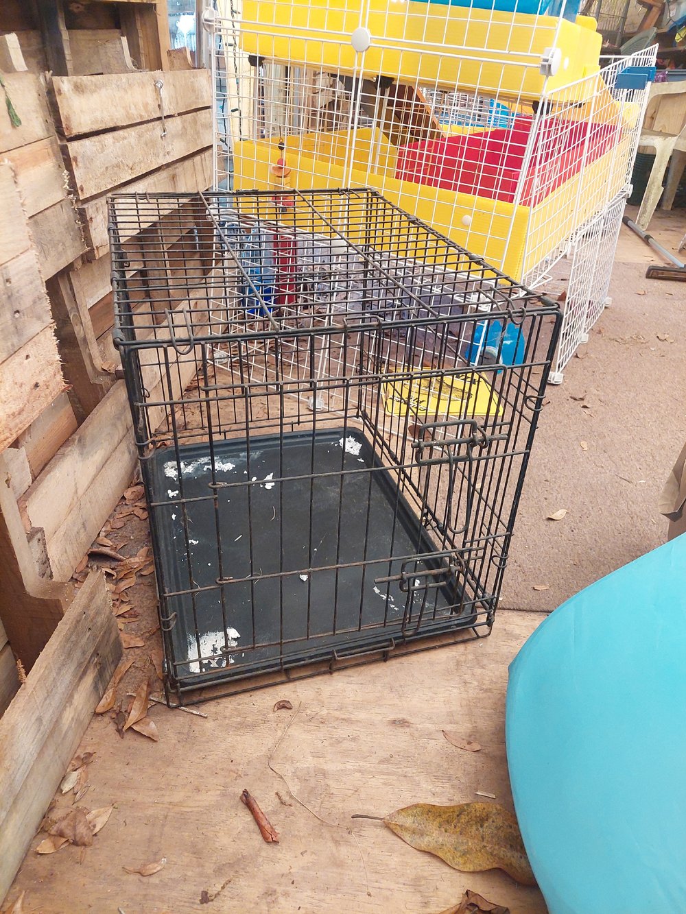 Image of Cage Sale 1