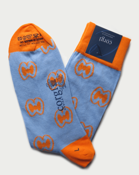Image of CC LOGO CORGI SOCKS 