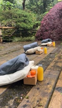 Image 5 of Japanese Garden Mini Sanctuary Session 