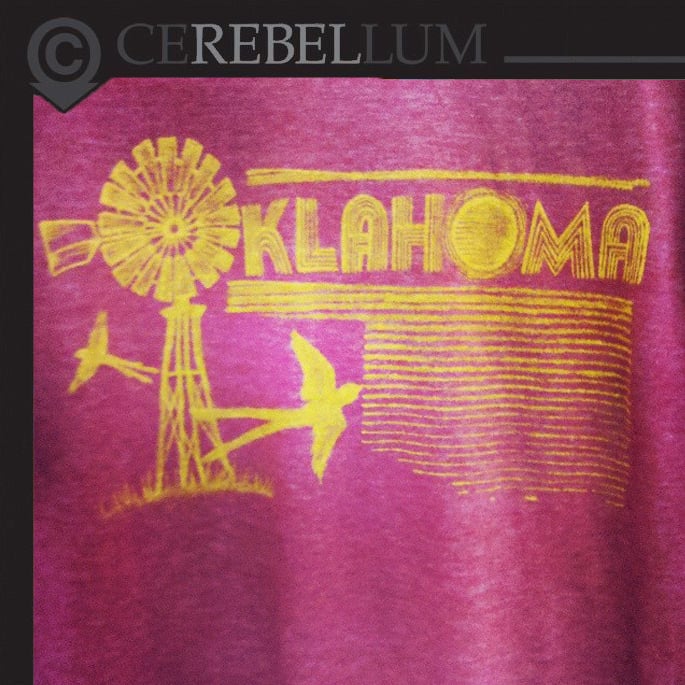 Image of Oklahoma Windmill